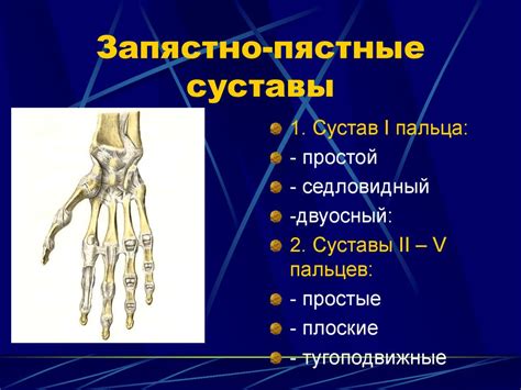 Изготовление корпуса и конечностей