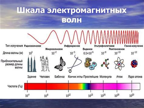 Излучатель электромагнитных волн: понятие и принцип работы