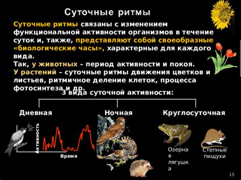 Изменение активности и движения козы