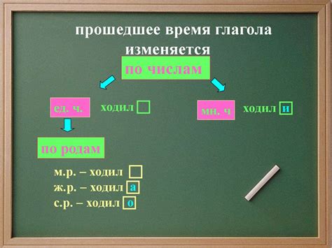 Изменение глаголов в прошедшем времени