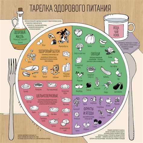 Изменение питания как основной метод борьбы с желудочным бурлением