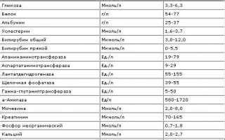 Изменение уровня фосфора в крови при репродуктивном здоровье