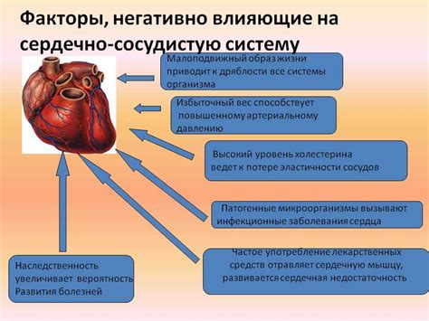 Изменения в работе сердечно-сосудистой системы