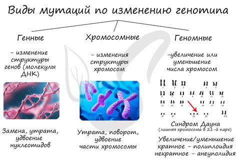 Изменения в структуре организмов под воздействием мутаций и эволюции