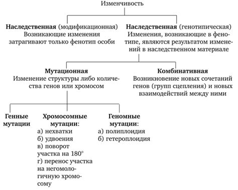 Изменчивость объема и формы