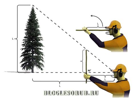 Измерение и распиливание дерева