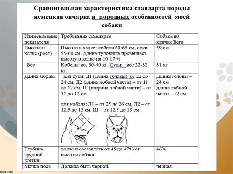 Измерение физиологических показателей