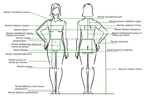 Измерения тела для получения точной выкройки
