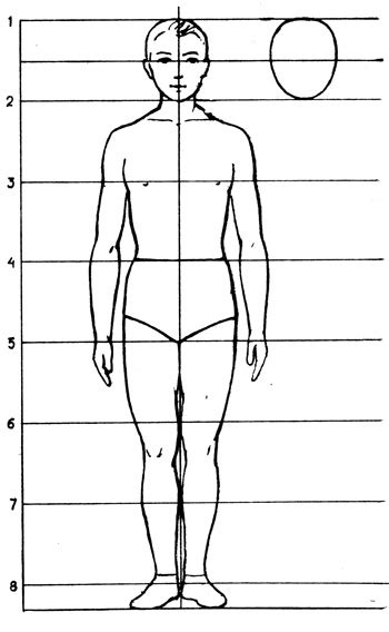 Измерьте пропорции и отметьте точки для остальных частей тела