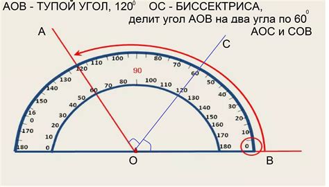 Измерьте угол между основанием и биссектрисой