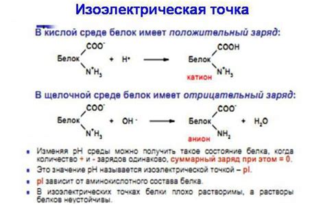 Изоэлектрическая точка и её определение