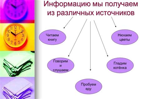 Изучаем основную информацию