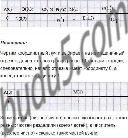 Изучаем основы координатного луча в 5 классе: определение и назначение