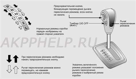 Изучаем подробную инструкцию