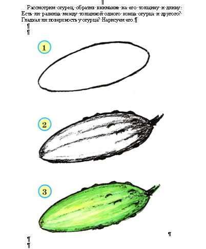 Изучаем технику рисования огурца