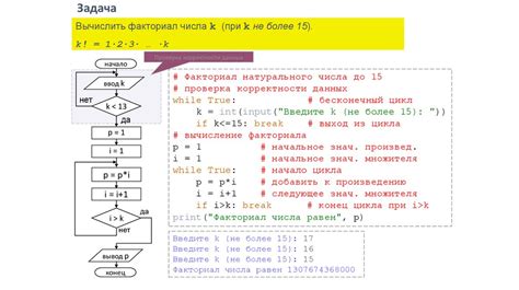 Изучение бесконечного цикла в Python