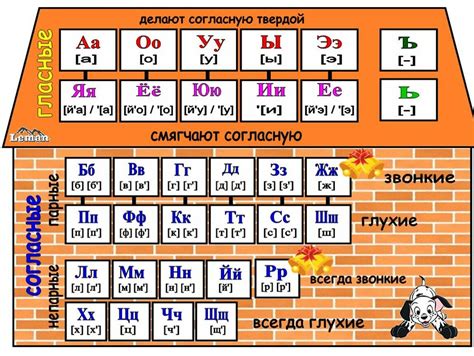 Изучение и практика основных звуков русского языка