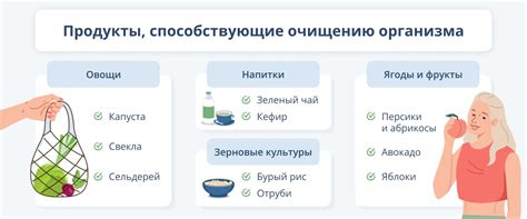 Изучение механики и преимущества пушки очищения