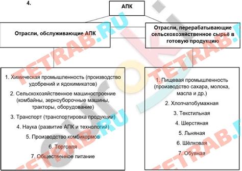 Изучение механики и принципов игры