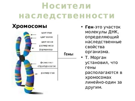 Изучение наследственности и гены в биологии