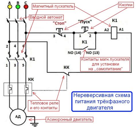 Изучение настройки NIS: полезные советы и способы