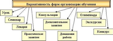 Изучение образовательных учреждений и программ