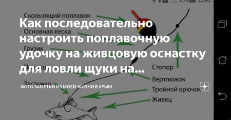 Изучение основ: как сделать поводок для рыбалки на поплавочную удочку