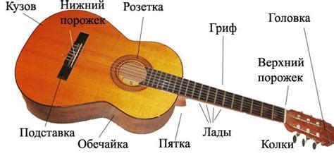 Изучение основных частей гитары