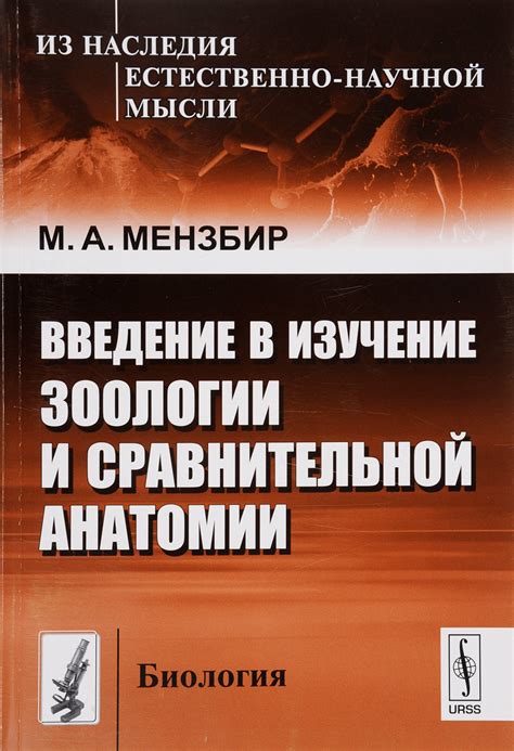 Изучение основ анатомии кича