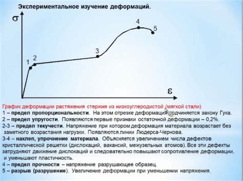 Изучение продолжительности пролиферативной фазы