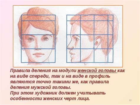 Изучение пропорций и светотени