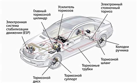 Изучение экстерьера автомобиля