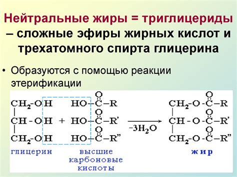 Изучение эфиров диацетилвинной и жирных кислот