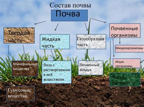 Изучите влагоудерживающие свойства почвы