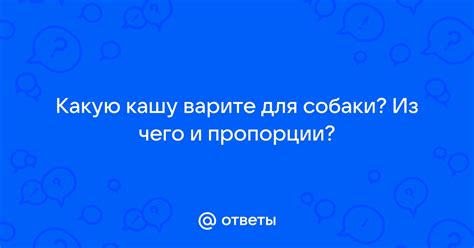 Изучите основные пропорции собаки