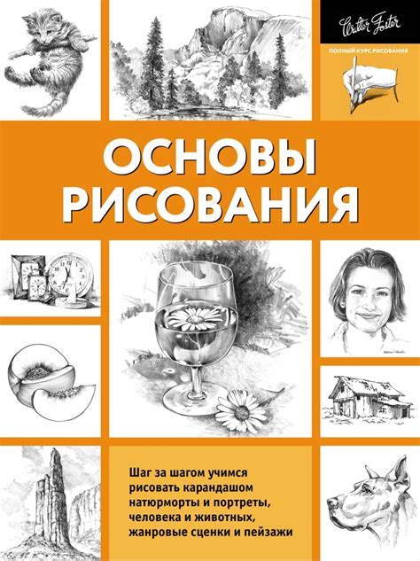 Изучите основы рисования карандашом