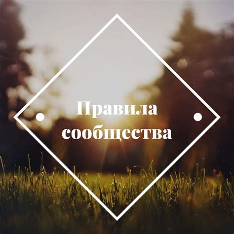 Изучите правила сообщества