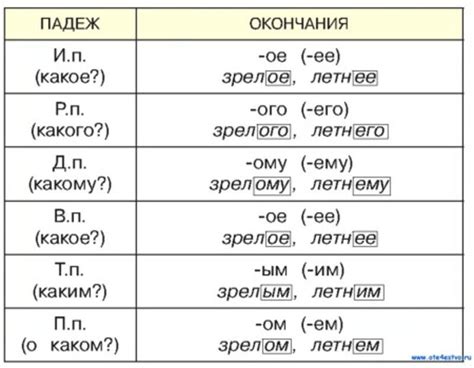 Имена прилагательные в русском языке