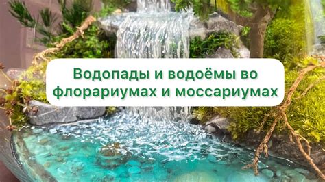 Имитация воды во флорариуме: основные компоненты