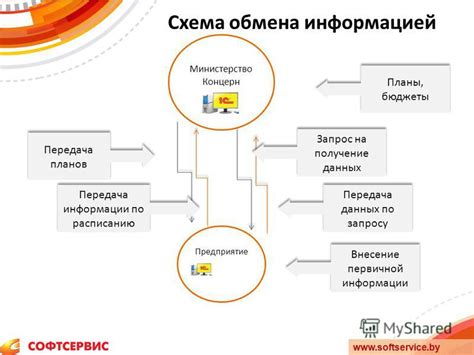 Импорт данных и внесение первичной информации