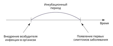 Инкубационный период