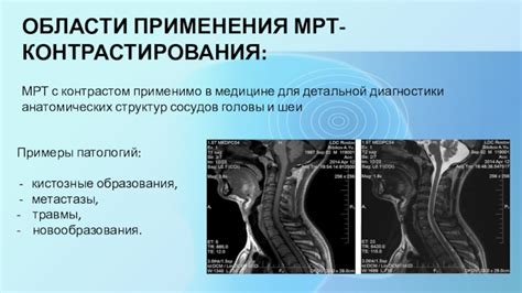 Инструкция для детальной диагностики