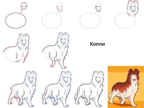 Инструкция для рисования собаки