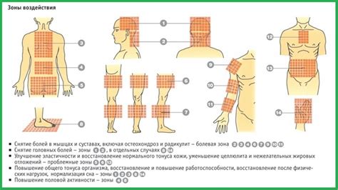 Инструкция по применению аппликатора Кузнецова от целлюлита