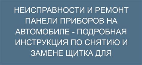 Инструкция по снятию и освобождению пойманной кошки