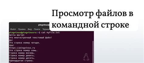 Инструкция по удалению файла в Linux через терминал