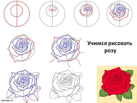 Инструменты для рисования розы