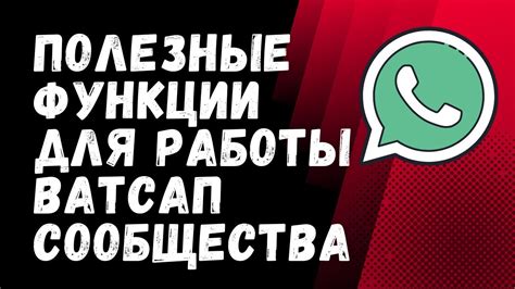 Инструменты и функции для эффективной работы в бизнес-группе в WhatsApp