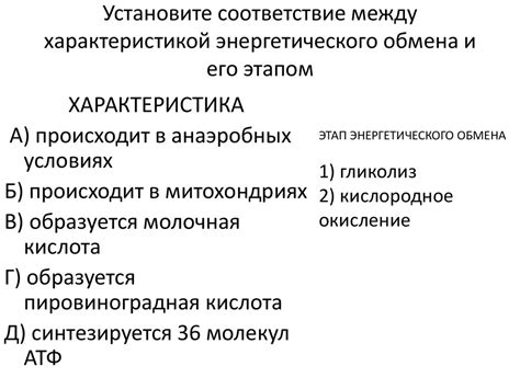 Интервалы времени энергетического обмена между клетьми