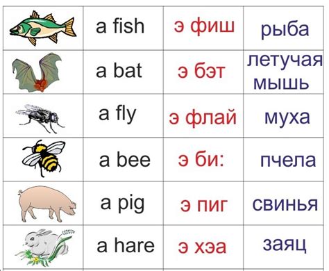 Интересные способы передачи смысла слова "бегемот" на английском языке